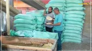 رسميًا.. بدء حملات مكثفة على المخابز والأسواق لضبط المخالفات 1